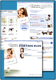 コンテンツイメージ